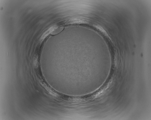 X0000062630873200512211226