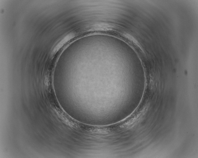 X0000062630874200512211226