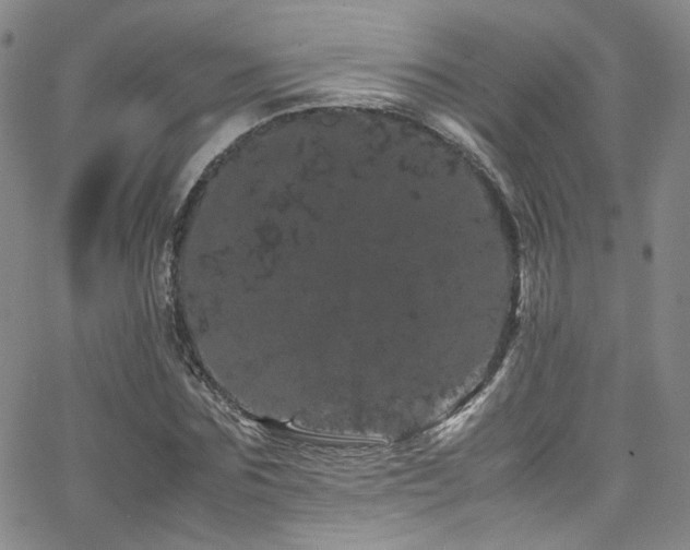 X0000062630875200512211226