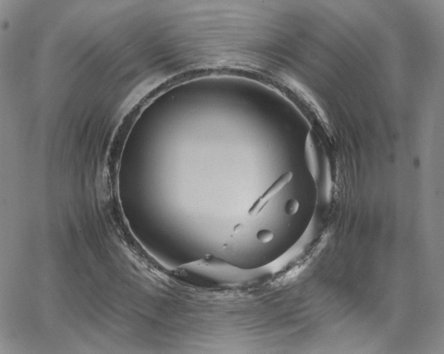 X0000062630876200512211226