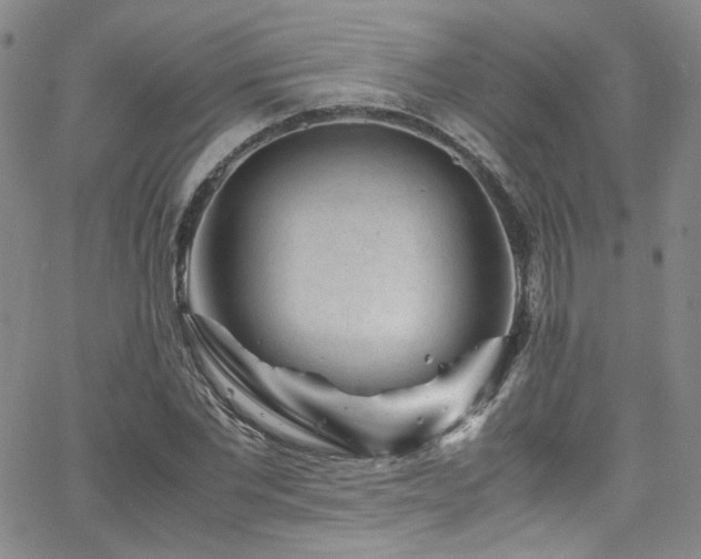 X0000062630877200512211226