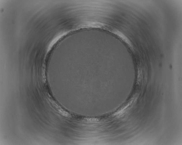 X0000062630878200512211226