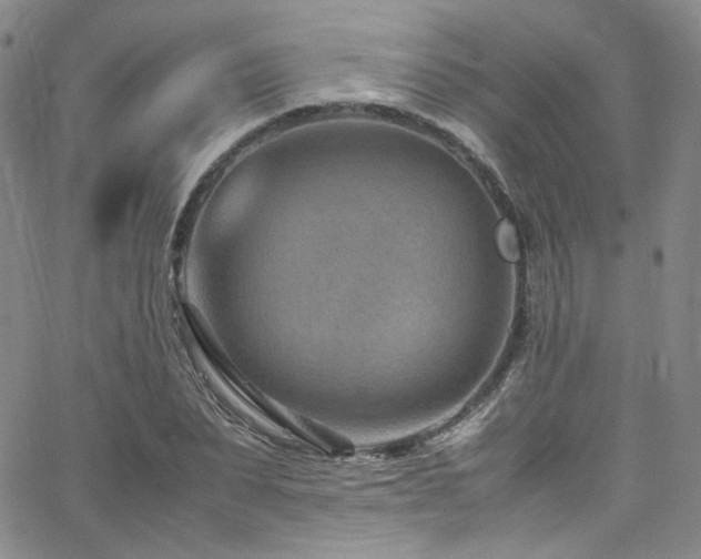 X0000062630879200512211226