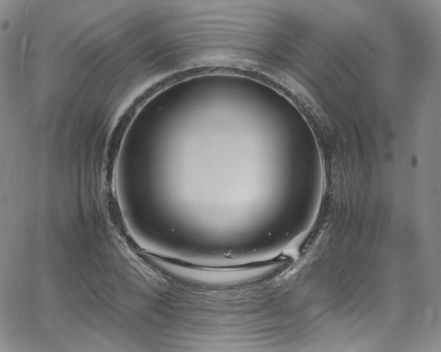 X0000062630880200512211226