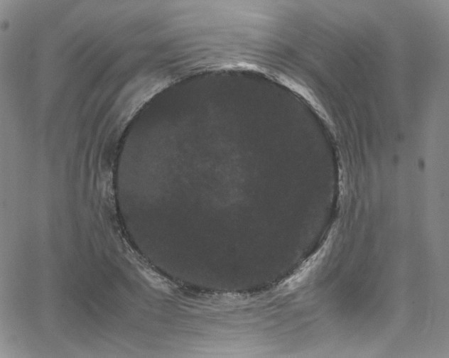 X0000062630881200512211226