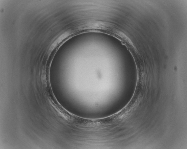 X0000062630882200512211226