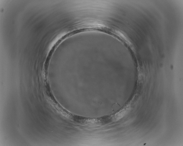 X0000062630883200512211226