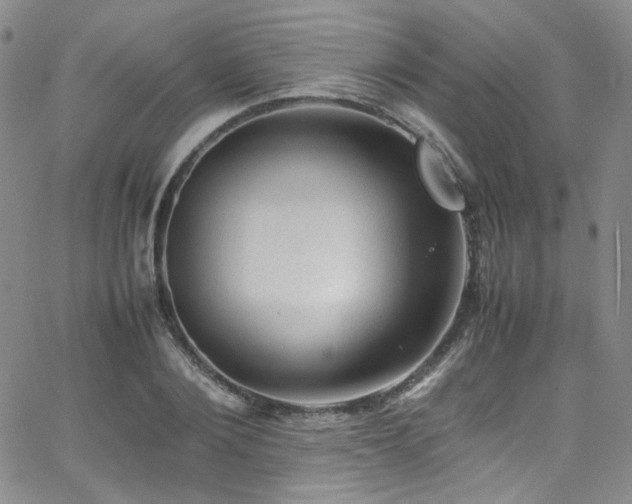 X0000062630884200512211226