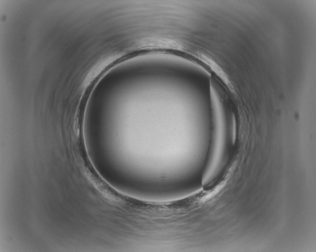 X0000062630885200512211226