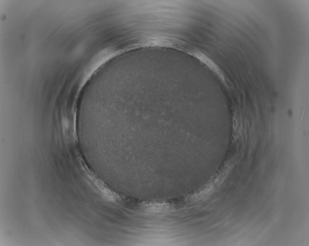 X0000062630886200512211226