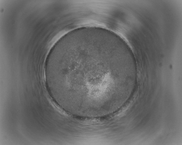 X0000062630887200512211226