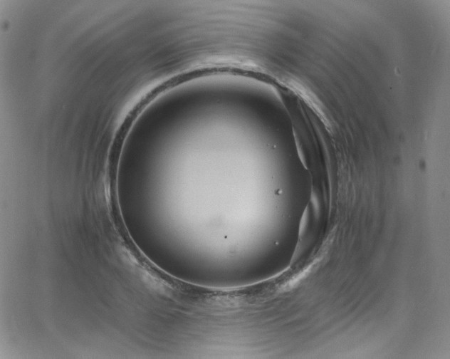 X0000062630888200512211226