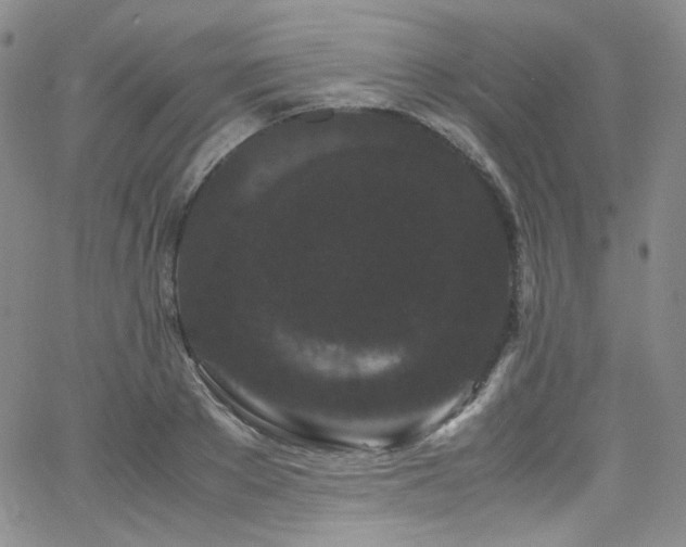 X0000062630889200512211226