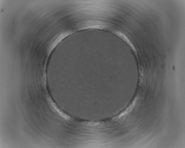 X0000062630890200512211226