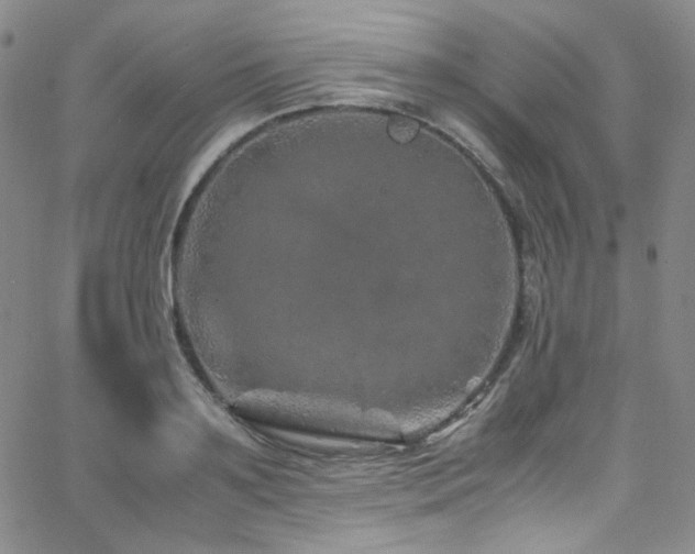 X0000062630891200512211226