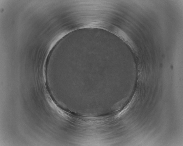 X0000062630892200512211226