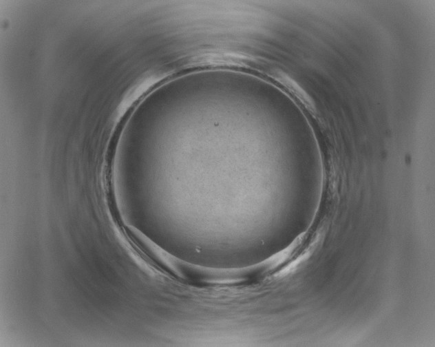 X0000062630893200512211226