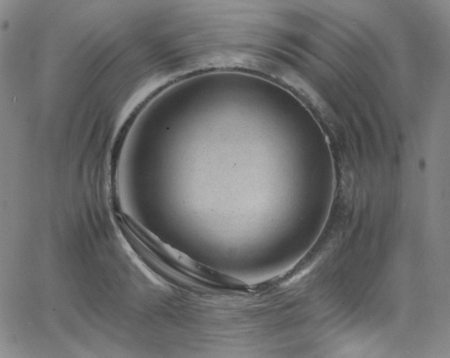 X0000062630894200512211226