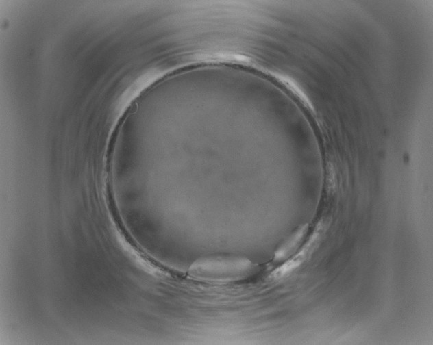 X0000062630895200512211226