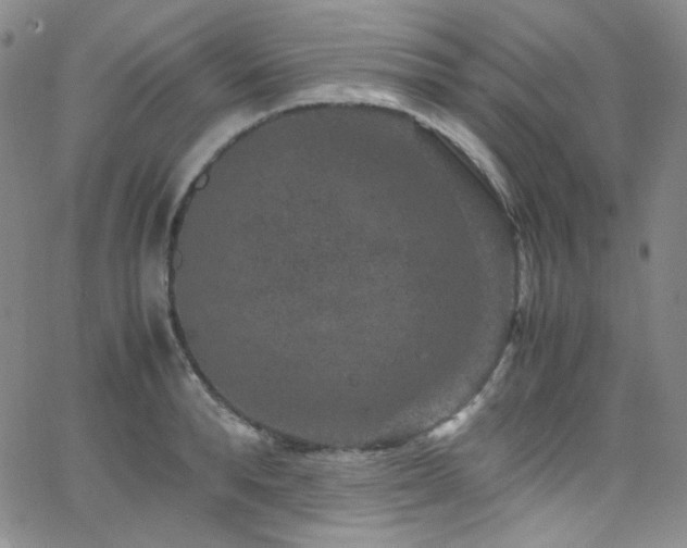 X0000062630896200512211226