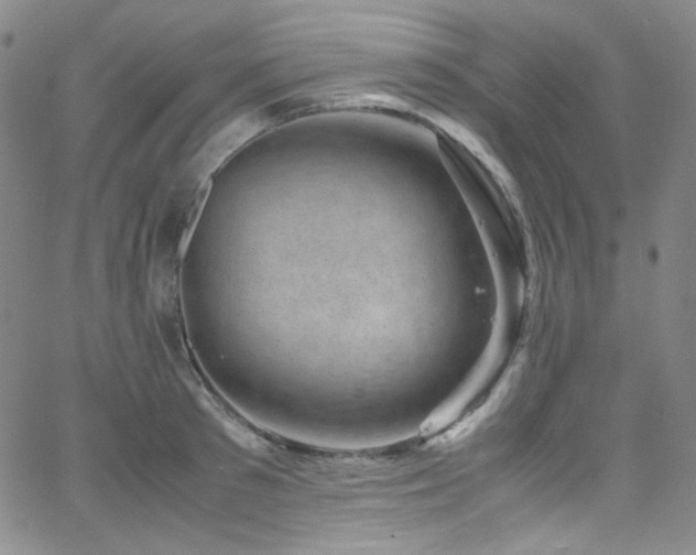 X0000062630897200512211226