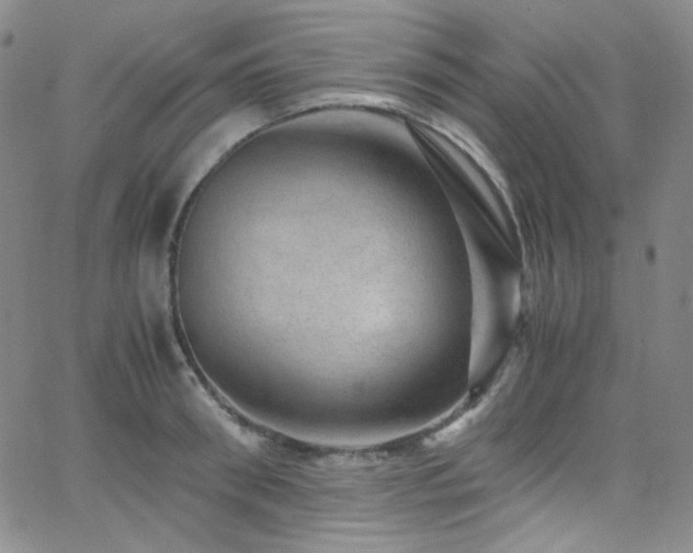 X0000062630898200512211226