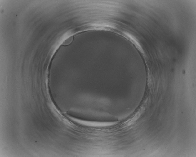 X0000062630899200512211226