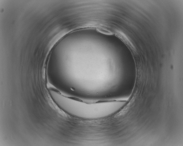 X0000062630900200512211226