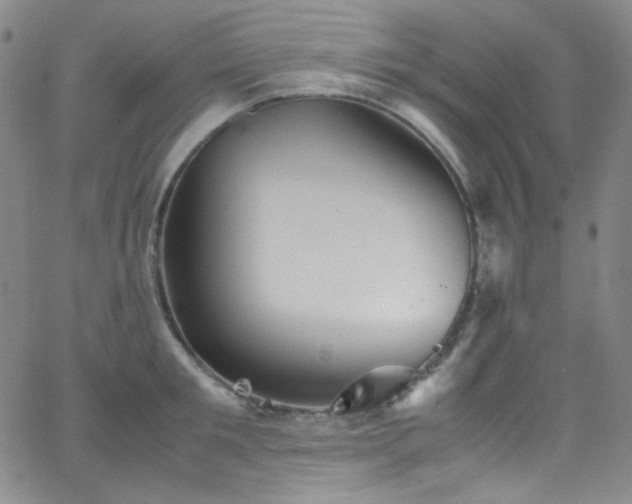 X0000062630901200512211226