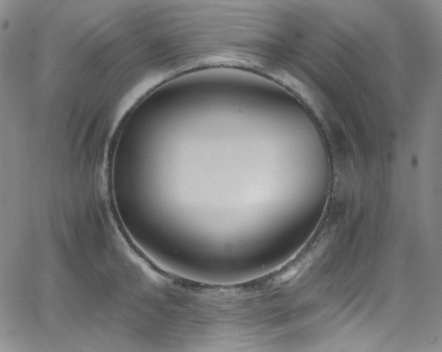 X0000062630902200512211226