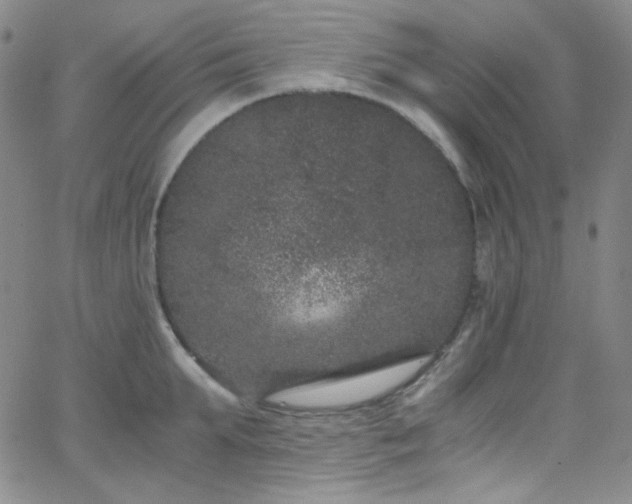 X0000062630903200512211226