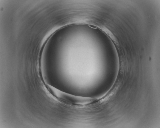 X0000062630904200512211226