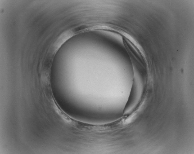 X0000062630905200512211226