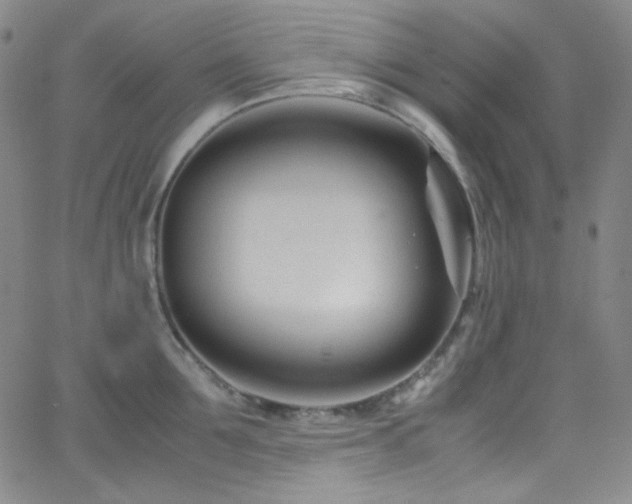 X0000062630907200512211226