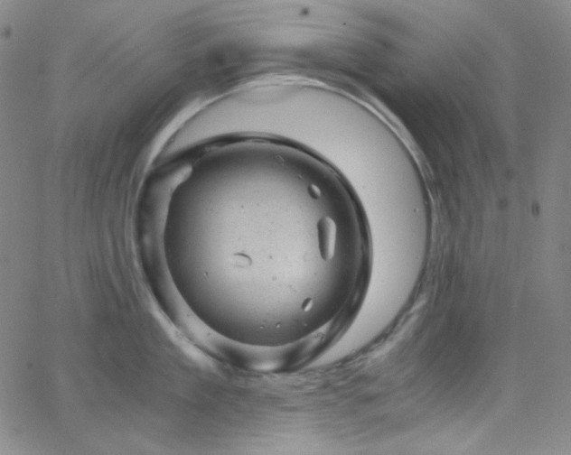 X0000062630909200512211226