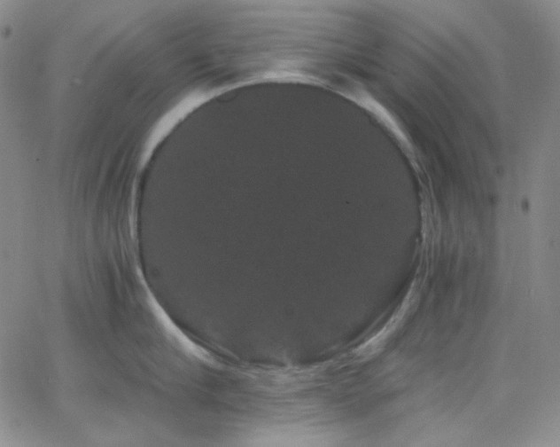 X0000062630910200512211226