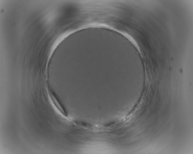 X0000062630911200512211226