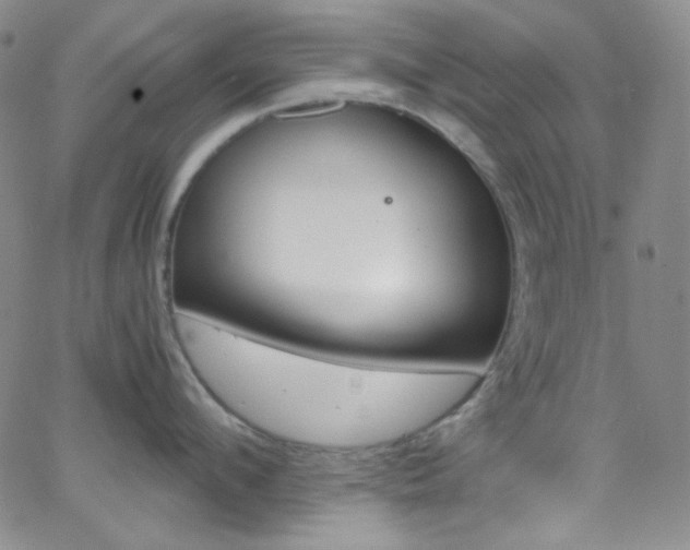 X0000062630912200512211226