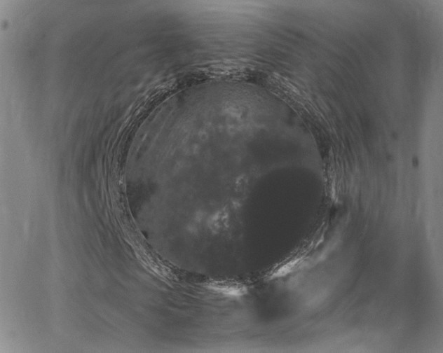 X0000062630913200512211225