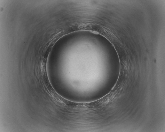 X0000062630914200512211225