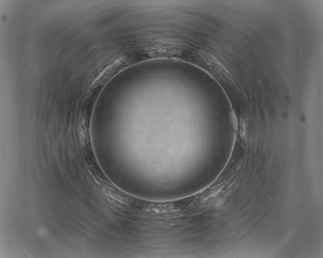 X0000062630915200512211225