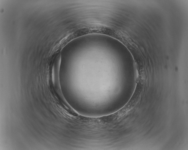 X0000062630916200512211225