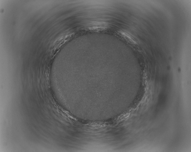 X0000062630917200512211225