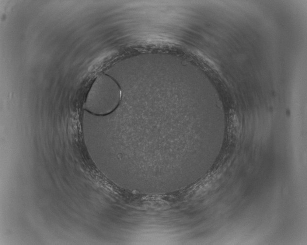 X0000062630918200512211225