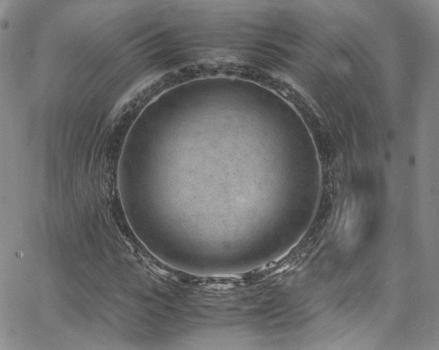 X0000062630919200512211225