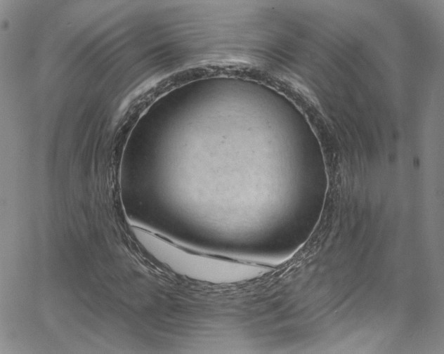 X0000062630920200512211225