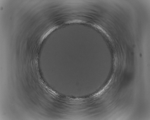 X0000062630921200512211225