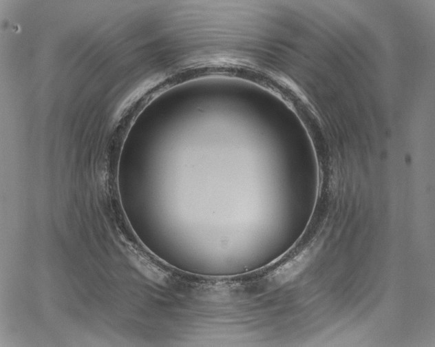 X0000062630922200512211225