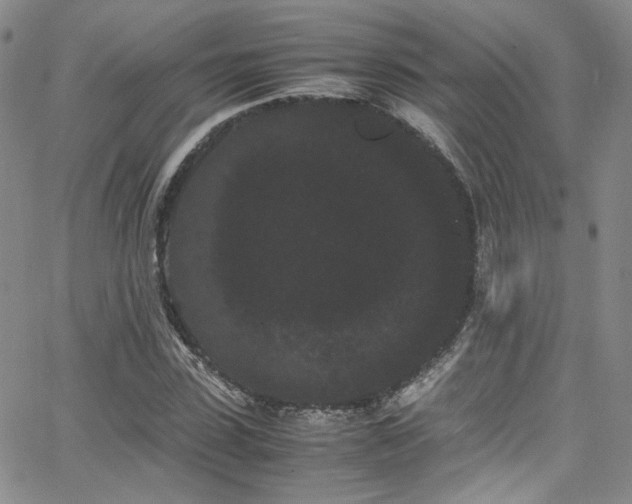 X0000062630923200512211225