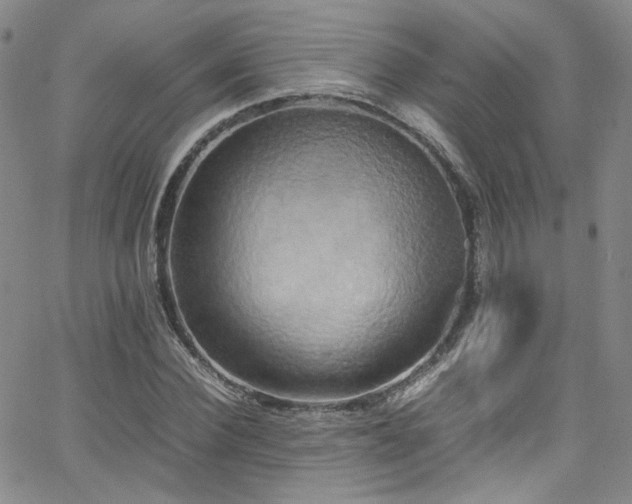 X0000062630924200512211225